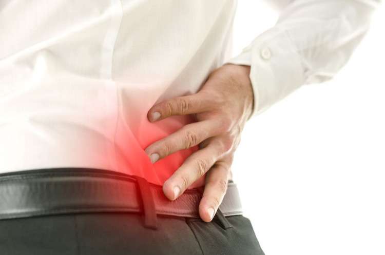 Учени: Болките в гърба са най-жестоки от 7 до 12 часа през деня