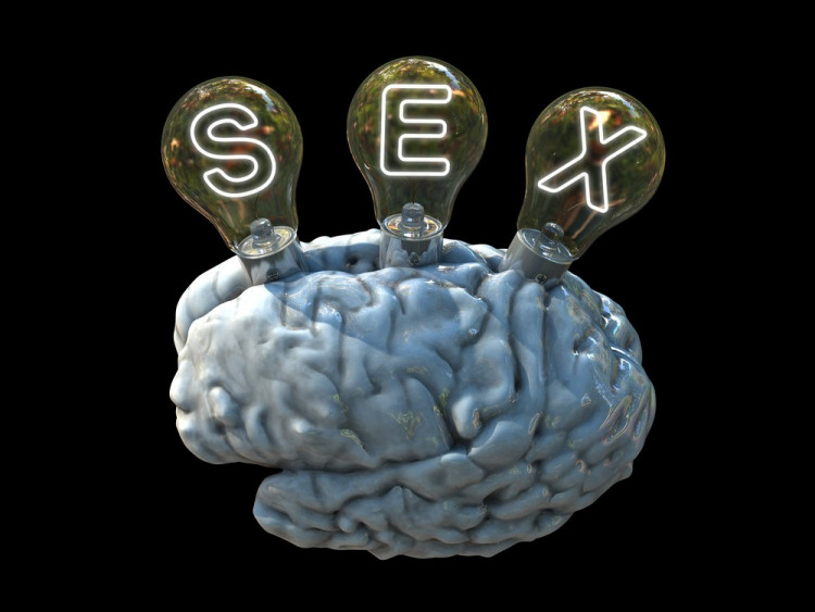 При редовен секс мозъкът работи по-добре