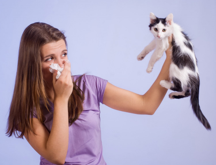 Проф. д-р Тодор Попов: Котката е едно от най-алергизиращите животни!