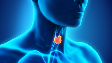 12 признака, че щитовидната ви жлеза не е наред