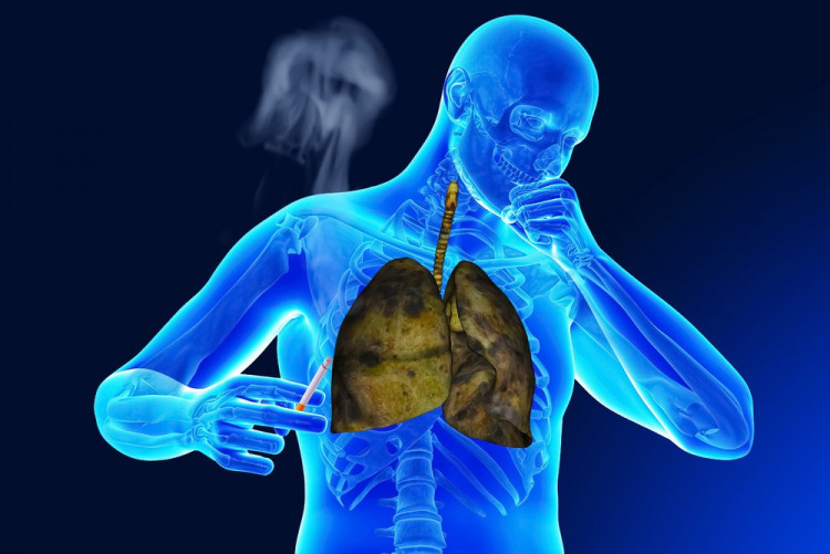 Възможно е пушач да изчисти белия си дроб
