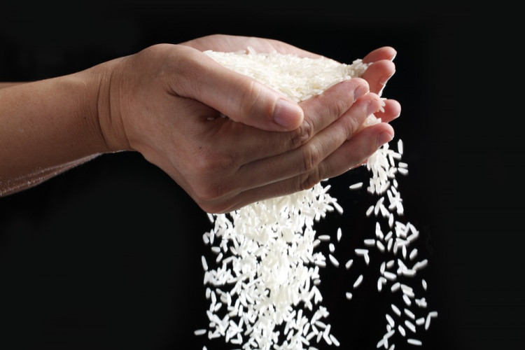 Вълшебните лечебни свойства на различните сортове ориз 