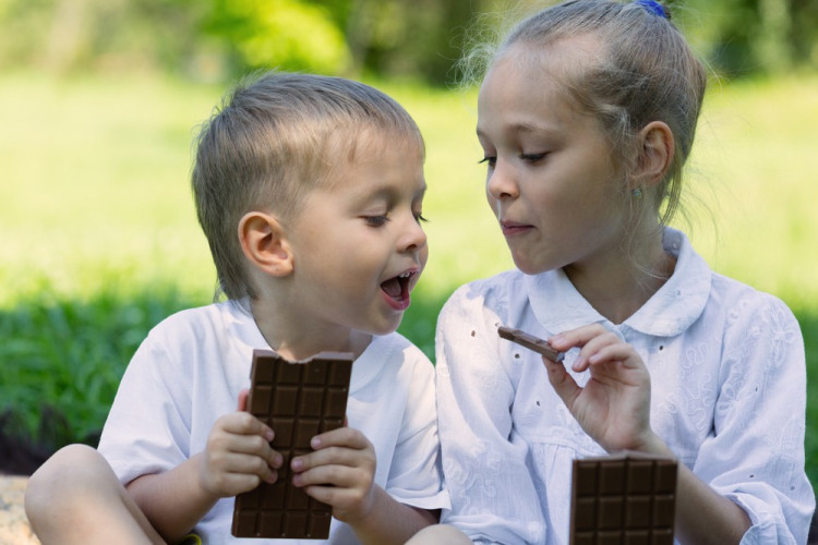 US-учени предупредиха за голяма вреда за здравето от шоколада!