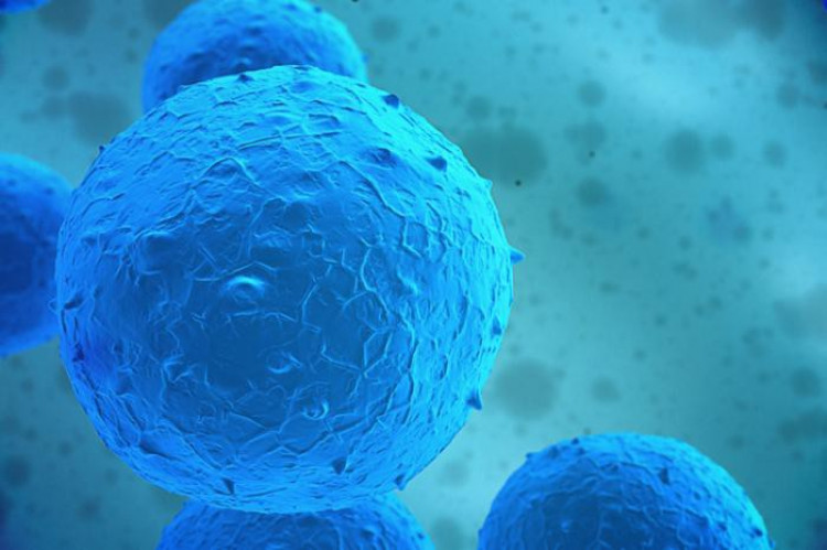 Трансплантация на стволови клетки може да „замрази“ множествената склероза