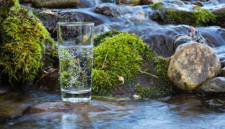 Минерална или изворна вода - какво да изберем?