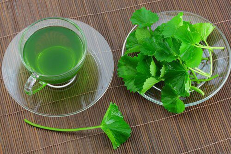 Чай от магданоз – доказан лек за бъбреци и не само