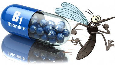 Витамин В1 –   враг  номер 1 на комарите