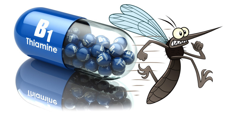 Витамин В1 –   враг  номер 1 на комарите