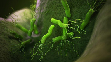 ​10 факта за най-коварната канцерогенна бактерия, която носи всеки втори човек