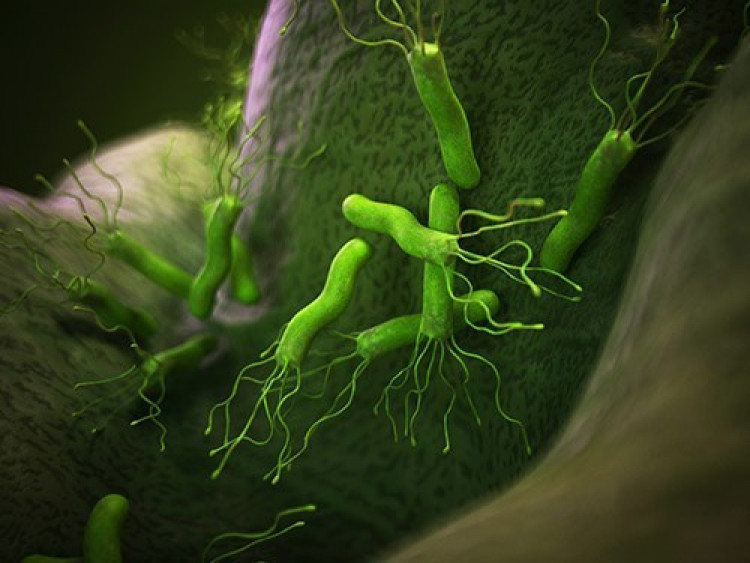 ​10 факта за най-коварната канцерогенна бактерия, която носи всеки втори човек