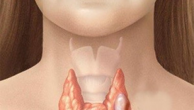 Ендокринолози посочиха 7 фактора, които разболяват щитовидната жлеза