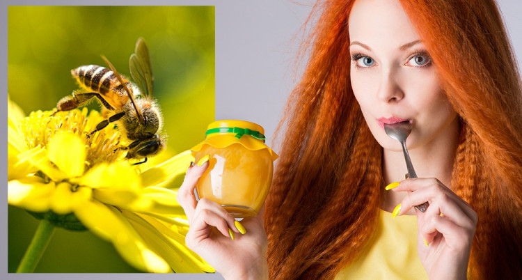 Д-р Емилия Дончева: Пчелно млечице и мед сутрин засилват имунитета