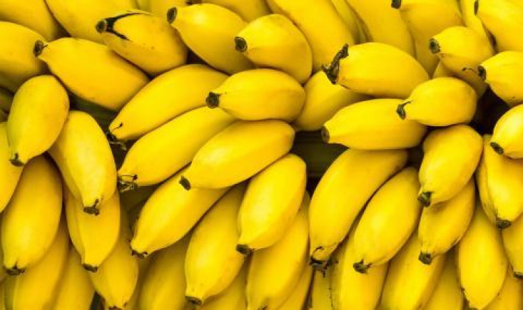 Ето какво ще стане, ако консумираме само банани в продължение на 12 дни