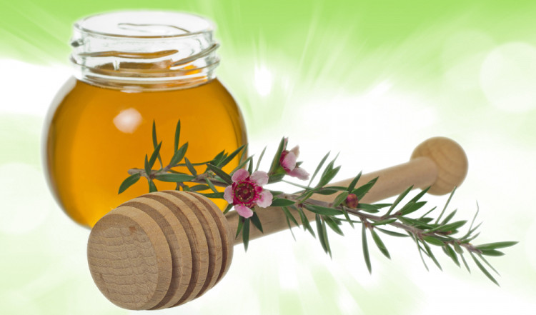 Мед от манука – по-добър от антибиотик