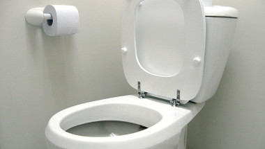 Грешна поза в тоалетната води до рак