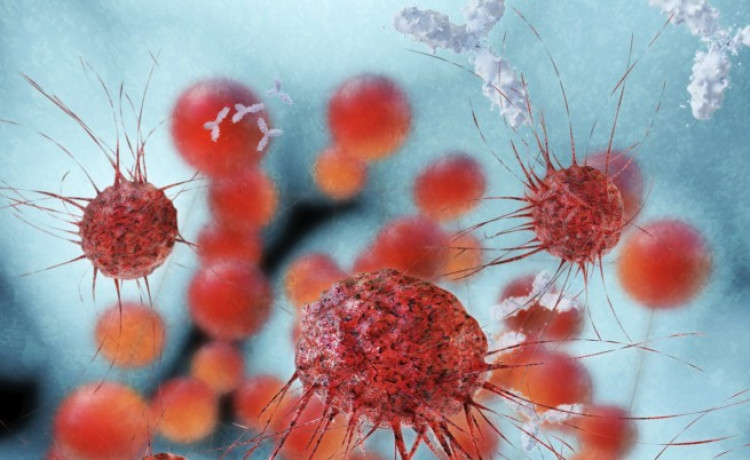 Учените са смаяни! Лекарство срещу импотентност бори рака