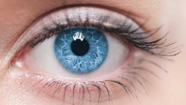 Най-мощният лек за зрение в света: Научете го, преди да бъде премахната от интернет