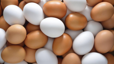 Диетолози посочиха колко яйца на ден са безвредни за консумация