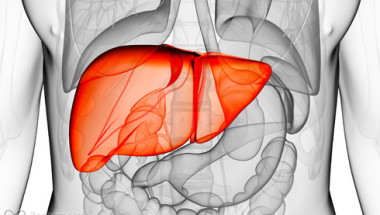 6 сигнала, които изпраща тялото ви, когато черният дроб е препълнен с токсини