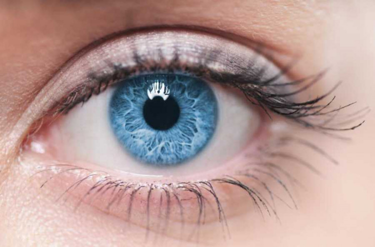 Най-мощният лек за зрение в света: Научете го, преди да бъде премахната от интернет