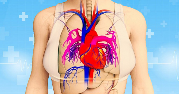 4 сигнала от тялото ви, които се появяват месец преди инфаркт