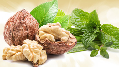 Орехи и билки помагат при диабет
