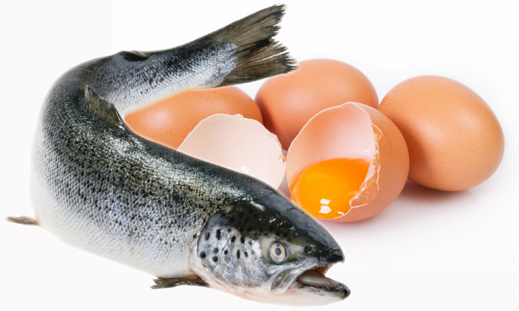 Сьомга и яйца повишават нивото на серотонин в тялото