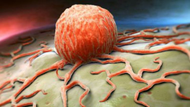 Учени установиха кората на кой плод убива раковите клетки