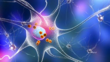 Нова молекула може  да спре нервните увреждания при Паркинсон