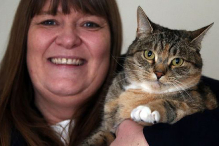 Феномен: Котка спаси стопанката си от рак на гърдата, онколози признаха заслугата на Миси (СНИМКИ)