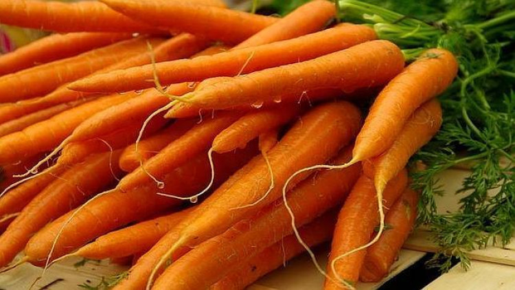 Диетолози обясниха кои са 3-те най-големи ползи от морковите