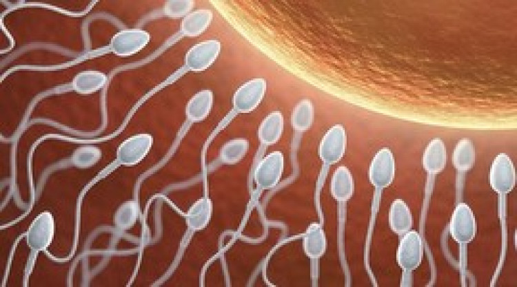 US-учени със сензационно откритие за спермата