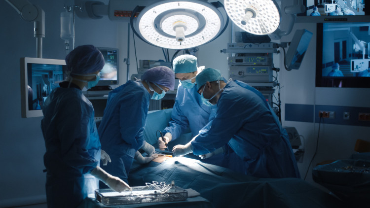 Странната и шокираща история на трансплантациите на животински органи на хора СНИМКИ
