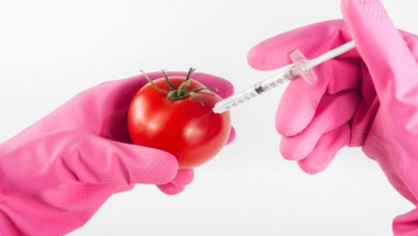 Ето как да разпознаете  ГМО плодовете по етикета