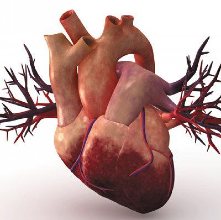 Симптоми на рак на сърцето