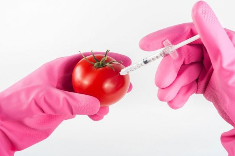Ето как да разпознаете  ГМО плодовете по етикета