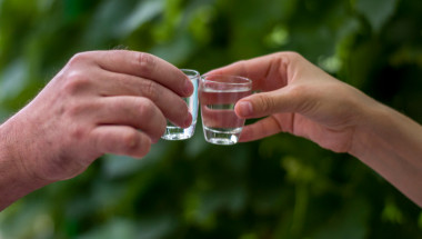 Българите сме защитени до голяма степен от въздействието на спиртните напитки