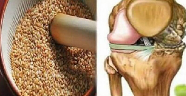 Мощна рецепта от семена бори болките в сухожилията и колената