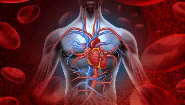 Представяме ви 5-10-8 или най-простото и ефективно правило за здраво сърце