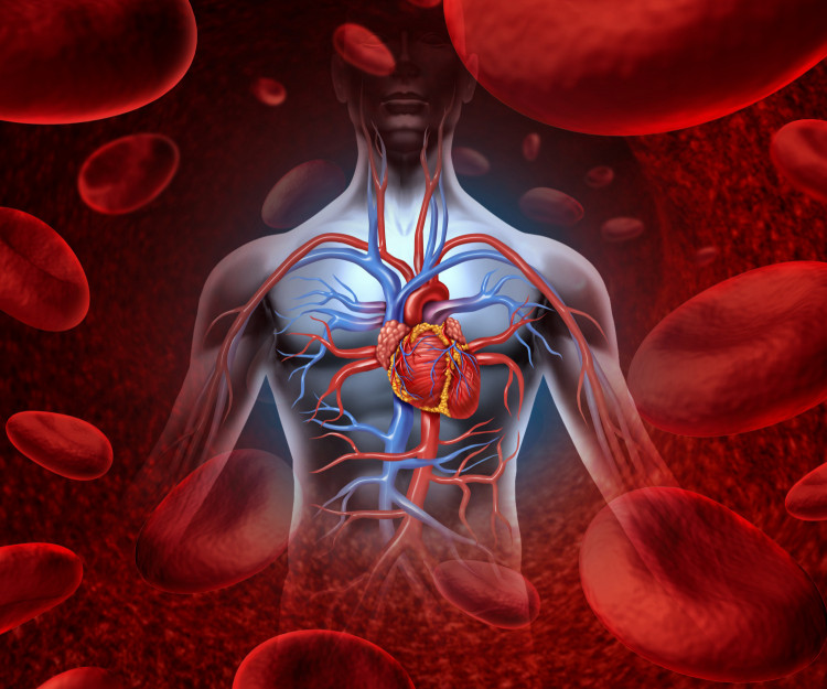 3 начина да се предпазите от запушване на кръвоносните съдове