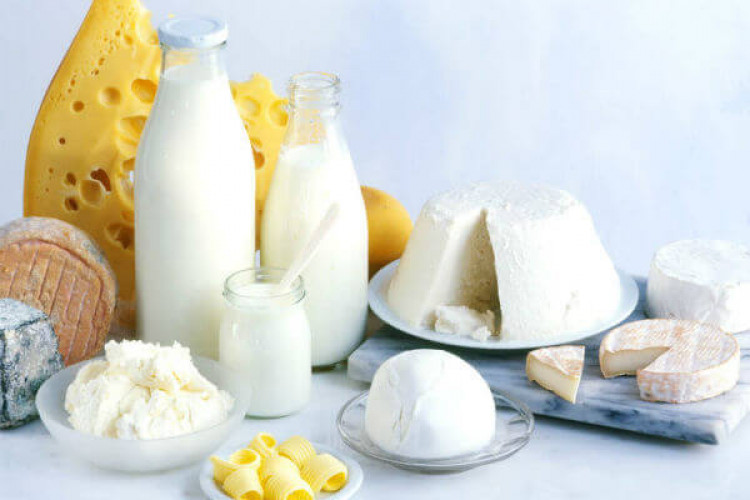 Учени от Харвард обясниха вредата на млечните продукти за здравето