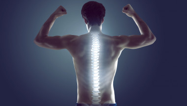 Проф. Сергей Бубновски: Здравето на гръбначния стълб зависи от мускулите