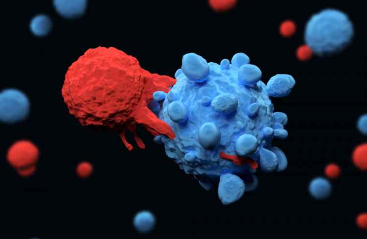 CAR-T терапията - препрограмиране на имунни клетки при рак на кръвта