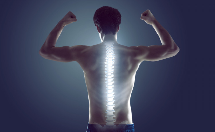 Проф. Сергей Бубновски: Здравето на гръбначния стълб зависи от мускулите
