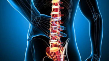 Опасно заболяване ли е хемангиомът  на гръбначния стълб?