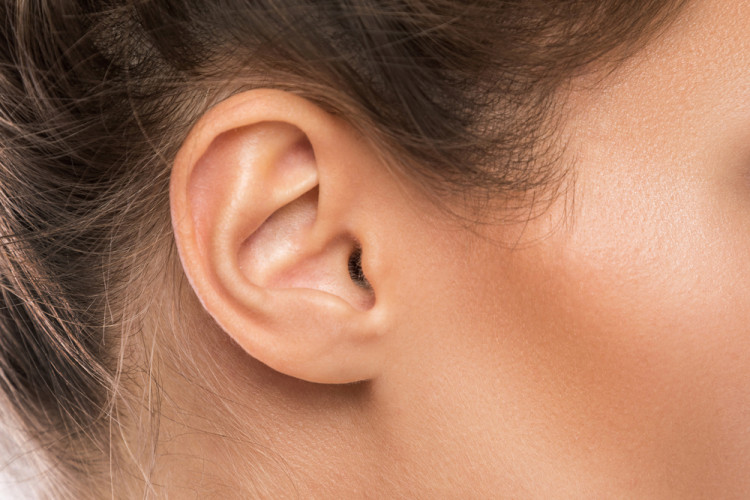 Слухът на човека варира от 125 до 8000 херца