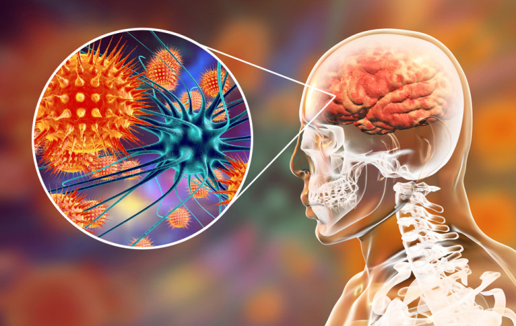 Д-р Красимира Кинова: Чревните вирусни инфекции могат да причинят менингит