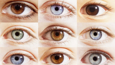 10 факти за човешкото око, които не са широко известни