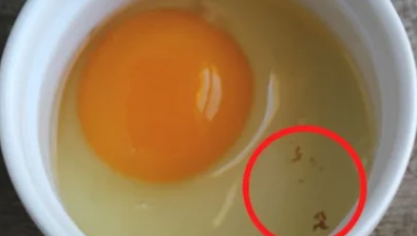 Опасни ли са червените петна в суровото яйце?