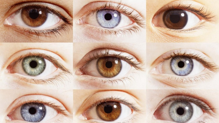 10 факти за човешкото око, които не са широко известни